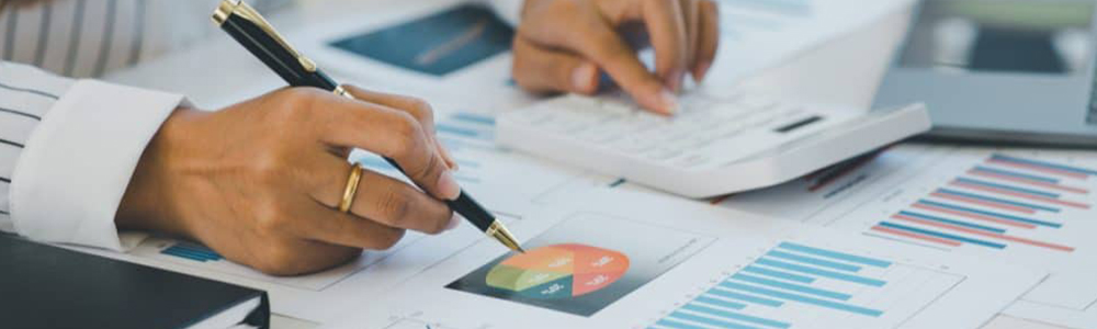 Master Professionnel : Ingénierie Financière